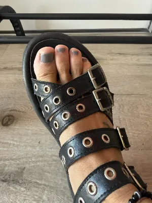 Sarkany
