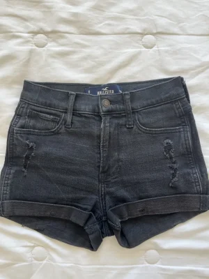 Hollister