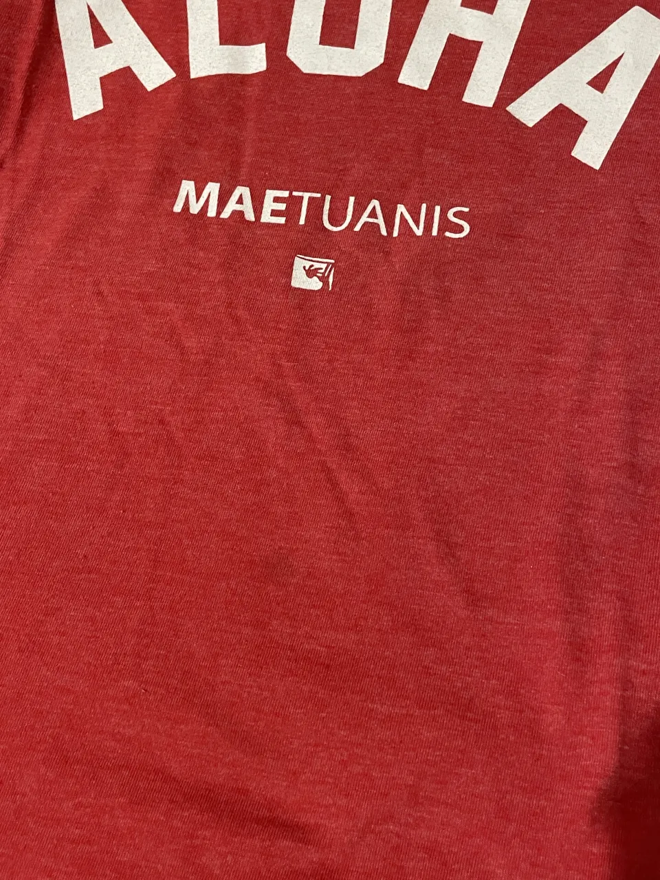 Musculosa Maetuanis - imagen 4