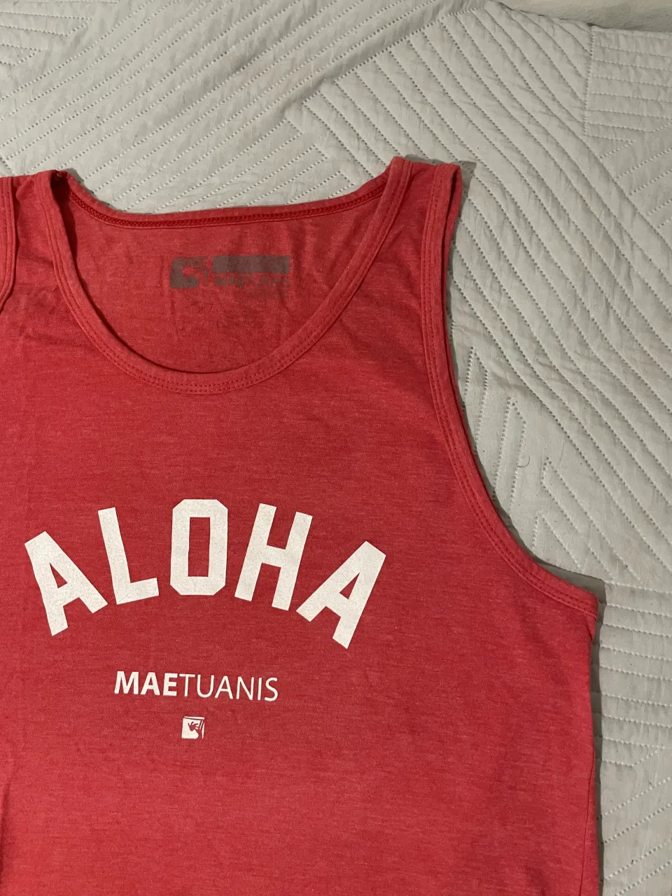 Musculosa Maetuanis - imagen 2