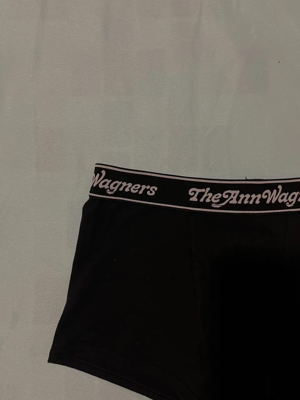 Short The Ann Wagners - imagen 2